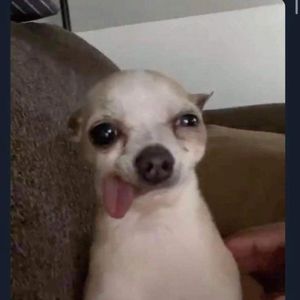 Meet your Posher, Johnny